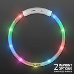 Bright Light Up Dog Collar, Rechargeable