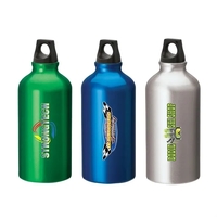 Sonia 16.9 oz. Flask with Twist Top