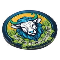 Acrylic Coaster Set of 2 with Cork Backing