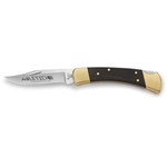 Buck Folding Hunter Lockback Knife