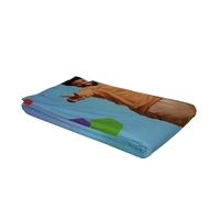 Replacement graphic panel designed for use with the 10' straight splash......