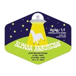 Hexagon Hand Fan Without a Stick 9.5" X 7.5"