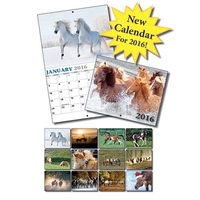 13 Month Mini Custom Photo Appointment Wall Calendar - HORSE