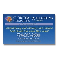 Magnet - 2.0625x3.5625 Square Corner - 20 Mil... from ASI 91760 Tradenet...