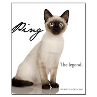 Magnet - 3.25x4 Square Corners - 20 Mil.... from ASI 91760 Tradenet...