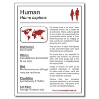 Magnet - 3x4 Square Corners - 25 mil.... from ASI 91760 Tradenet Publishing /...