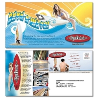 Large Laminated Postcard - 10.5x5.5 - Square Corners - 14 pt