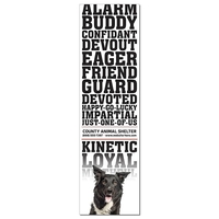 Magnet - 3.5x12.25 Square Corners - 20 mil.... from ASI 91760 Tradenet...