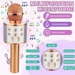 Kidder iBank® Bluetooth Karaoke Microphone