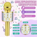 Kidder iBank® Bluetooth Karaoke Microphone