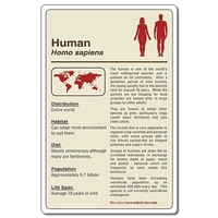 Magnet - 3.75x5.75 Round Corners - 25 mil.... from ASI 91760 Tradenet...