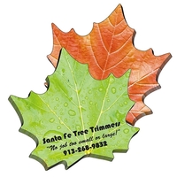 Stik-ON Shape Adhesive Notes - Leaf (3.625x3.5) - 100 She