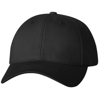 Sportsman Adult Cotton Twill Cap... from ASI 30208 A P Specialties / AP...