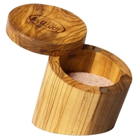 Rock & Branch® Salt Box with Magnetic Swivel Lid