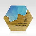 Custom Hexagon Puzzle Plaque - Acrylic & Wood w/ Full-Color