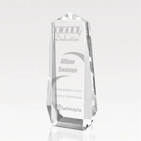 Endurance Optical Crystal Award