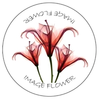 Hard surface mouse pad rubber base