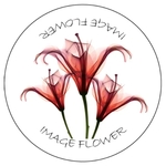 Hard surface mouse pad rubber base