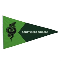 5' x 8' nylon pennant flag with canvas header, brass grommets... from ASI...