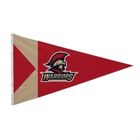 3' x 5' nylon pennant flag with canvas header, brass grommets... from ASI...