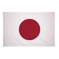 4' x 6' International Flag