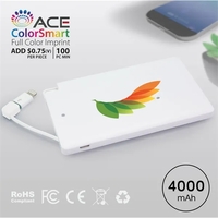 Dartmouth - 4000 mAh SLIM PORTABLE POWER BANK WITH CABLE