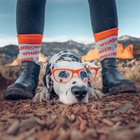 Dog Walking Performance Socks: Durable Comfort for Walks