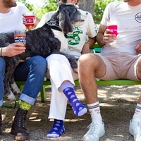 Dog Walking Socks: Active Comfort for Canine Companions