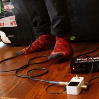 Regular Musician Socks - Harmonious Comfort for Performers