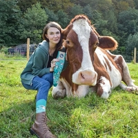 Veterinarian Socks - Paw-sitive Comfort for Animal Lovers