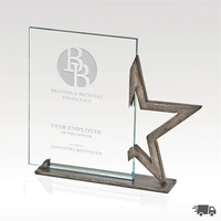 Award that features a base and star design in speckled antique... from ASI...