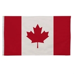 3' x 5' International Flag