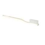 Toothbrush Disposable