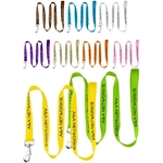72"L rPET Eco-friendly Pet Leash with Carabiner