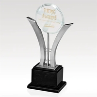 9 1/2" x 17" x 4 3/4" award crafted from stainless... from ASI 93986...