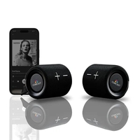 Audivario Duo Magnetic Bluetooth Speaker