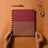 These journals are available in two sizes, with interchangeable discs.......