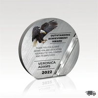 Aluminum & Crystal Award - Bristol