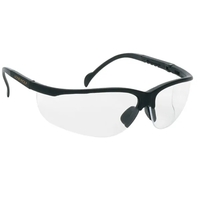 Wrap-Around Safety/Glasses with Adjustable Temples