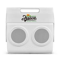 Igloo Kooltunes® 14-quart Cooler