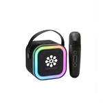 Wireless Karaoke Speaker with Microphone