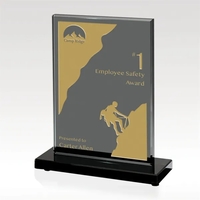 The Obsidian's opaque black glass panel provides an elegant and dramatic......