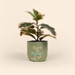 MARY JANE - 4CP POLY