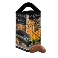 Chicago Souvenir Tote Box