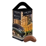 Chicago Souvenir Tote Box