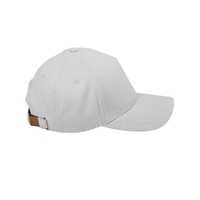 Big Accessories Five-Panel Brushed Twill Cap... from ASI 84358 S&S Activewear