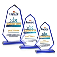 Pearson VividPrint™ Award - Blue