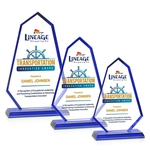Pearson VividPrint™ Award - Blue