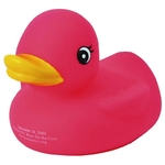 Pink rubber duck