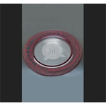 Large Red Leopard Plate